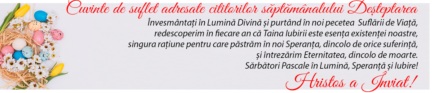spot_img